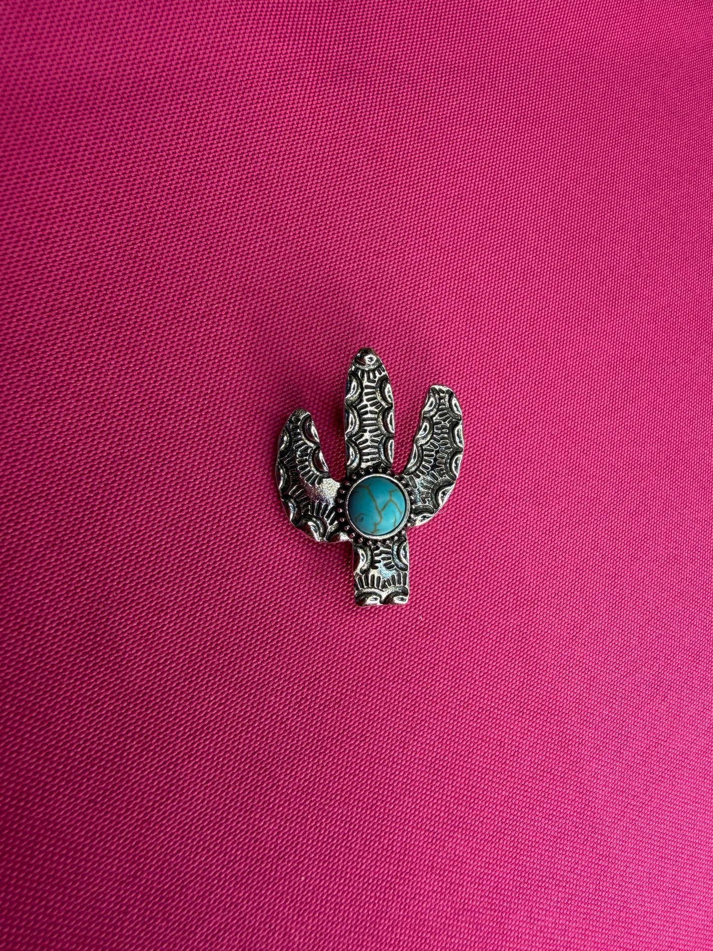 Western Assorted Pin Set