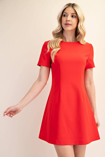 Fit And Flare Mini Dress