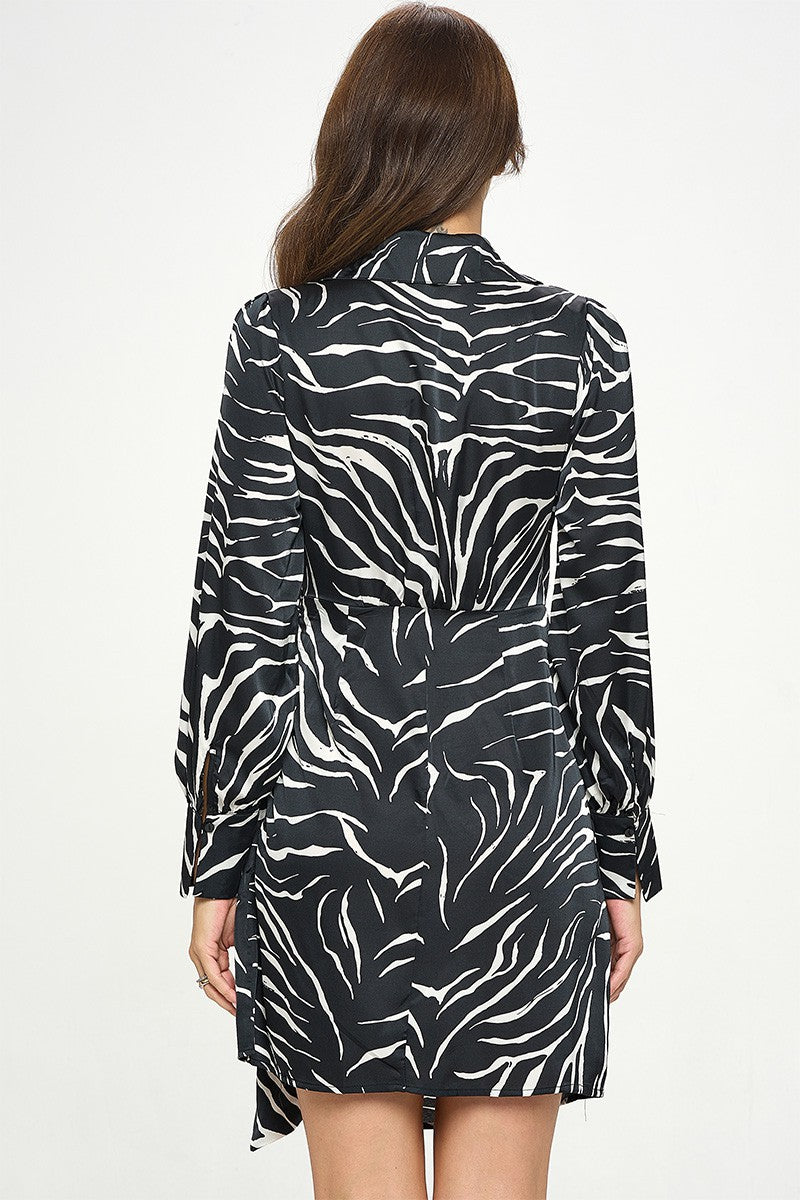 Zebra Striped Print Long Sleeve Dress